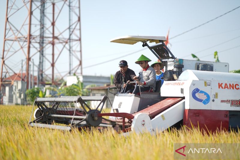 Pemkot Madiun dukung petani optimalkan prouktivitas padi 