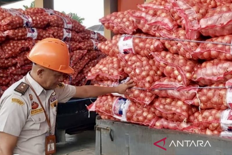 Karantina Kalsel sita ratusan karung bawang bombai impor ilegal 