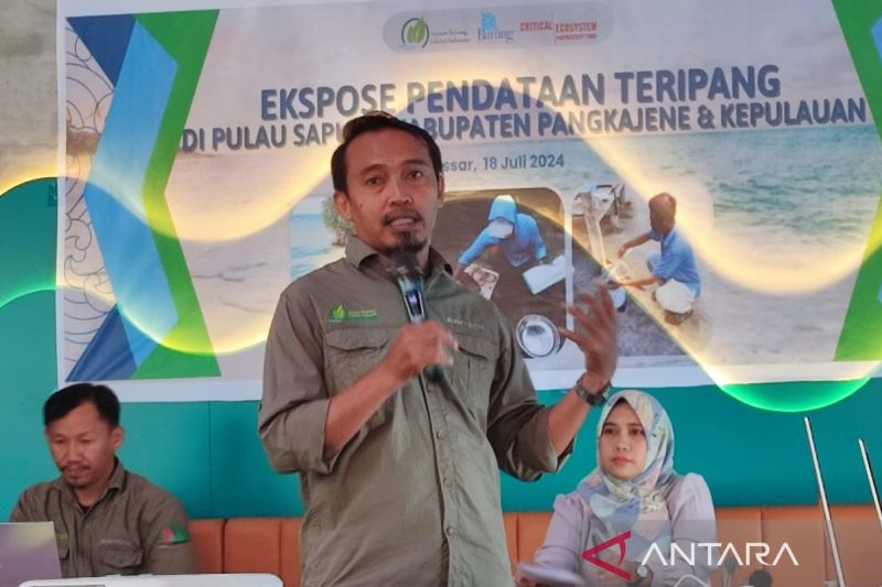 YRC Indonesia ekspose data eksploitasi teripang di Pulau Sapuka