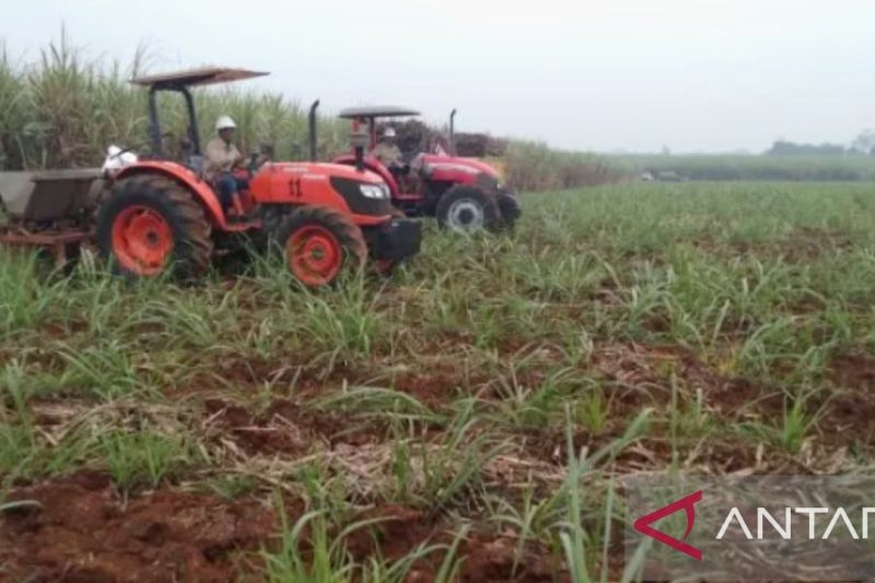 Petani penggarap di Subang kebingungan diusir dari lahan garapannya