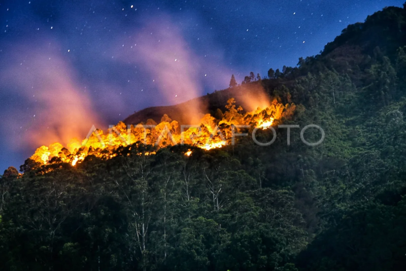 Kebakaran hutan lereng Gunung Sipiso-piso