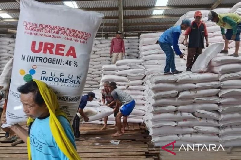 Distan Pandeglang gerak cepat alokasikan pupuk bersubsidi untuk petani