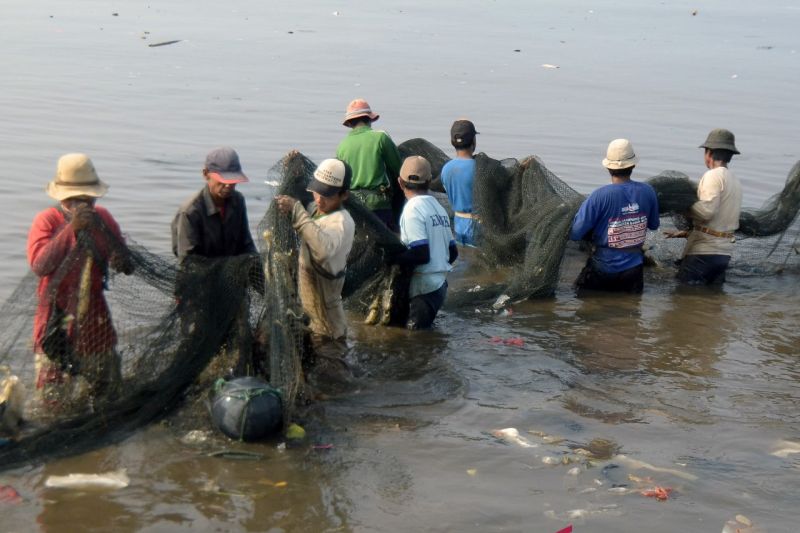 Menjaring ikan bercampur sampah di Bandar Lampung