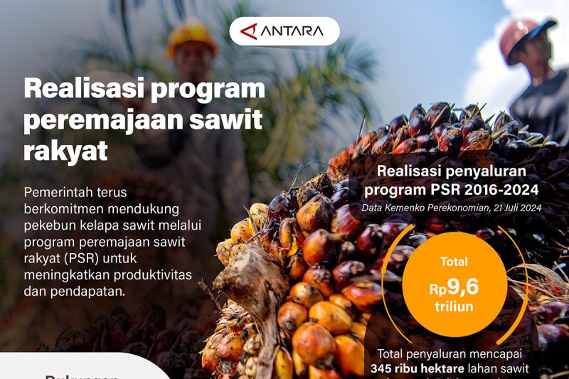 Reaalisasi program peremajaan sawit rakyat