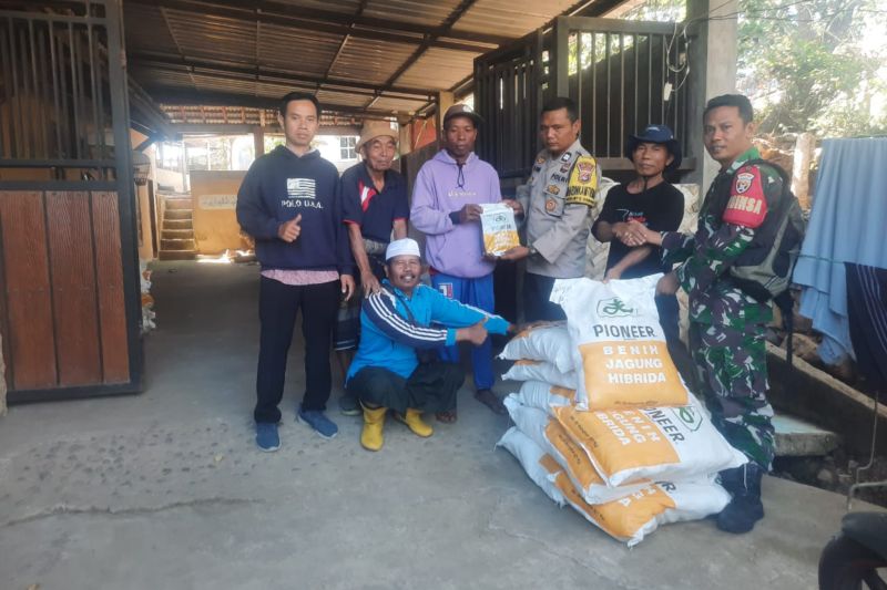 Kementan RI berikan bantuan bibit jagung bagi petani di Lombok Tengah