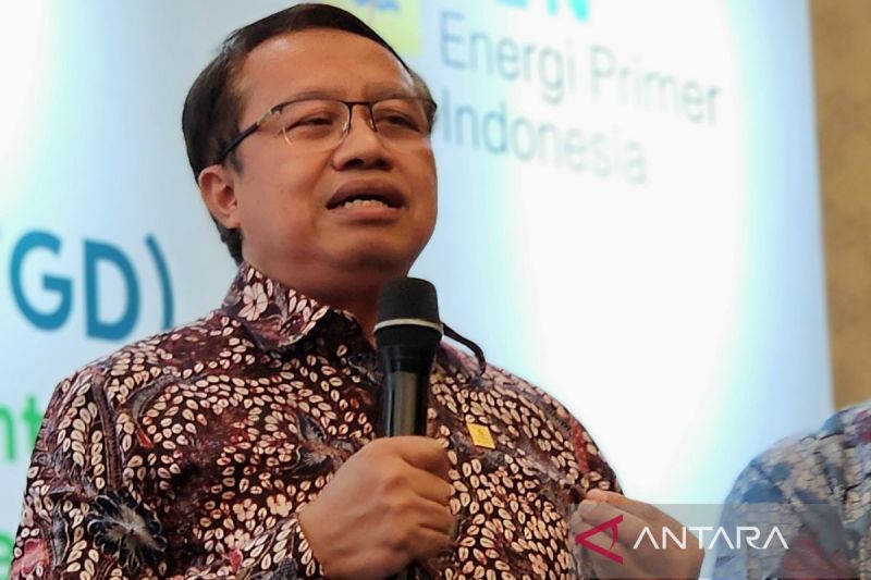 PLN: Konsumsi biomassa menghasilkan 2 persen listrik dari PLTU