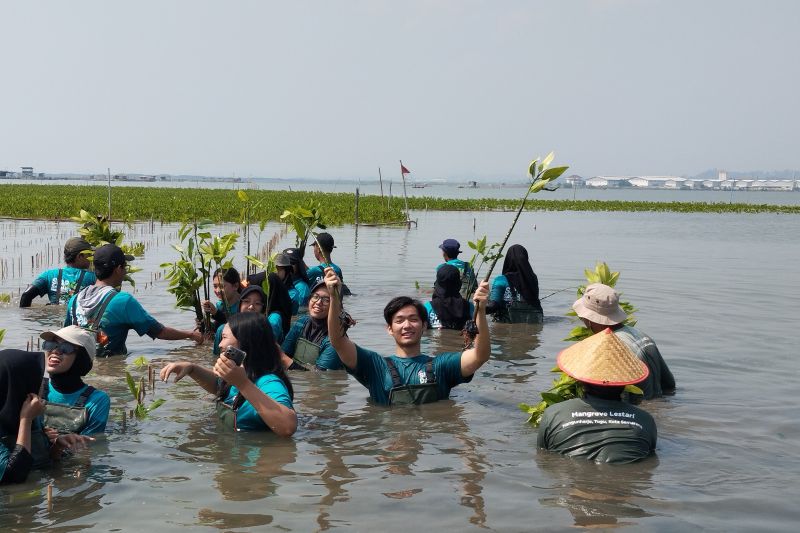 Hari Mangrove, Jerhemy minta anak muda jadi penjaga lingkungan