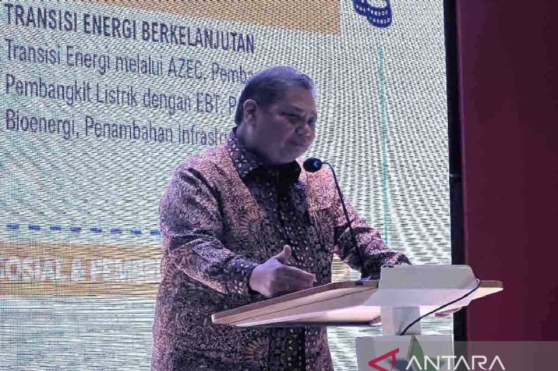 Menko Perekonomian: Pemerintah dorong pengembangan bioavtur