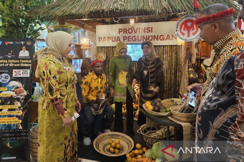 Dekranas dorong UMKM Papua Pegunungan kembangkan kualitas produksi