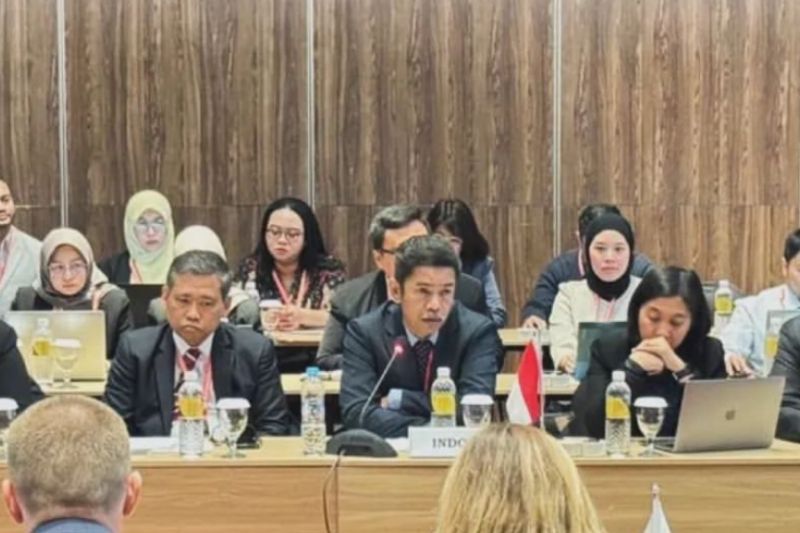 Perundingan ke-5 Indonesia-EAEU FTA capai kemajuan signifikan