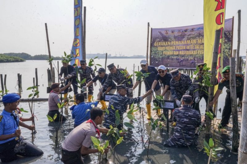 Pelindo-TNI AL kolaborasi konservasi bakau untuk wisata pesisir