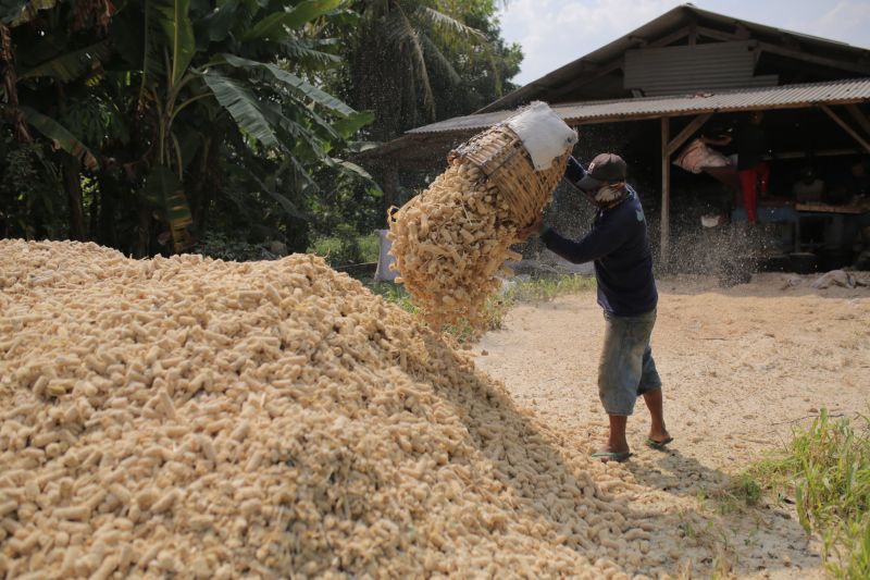 PLN EPI maksimalkan penggunaan biomassa melalui co-firing PLTU