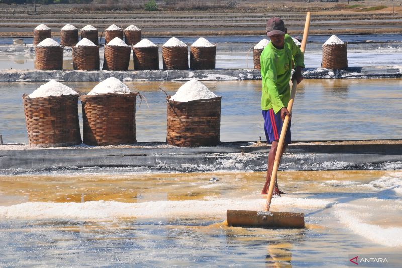 Pemkab Lombok Tengah usul ke KKP kembangkan irigasi tambak garam 