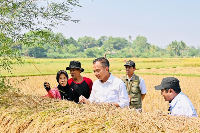 Bey dapati kreativitas petani saat tinjau potensi kekeringan di Bogor