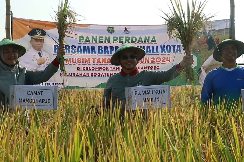 Pemkot Madiun dorong petani kembangkan padi organik