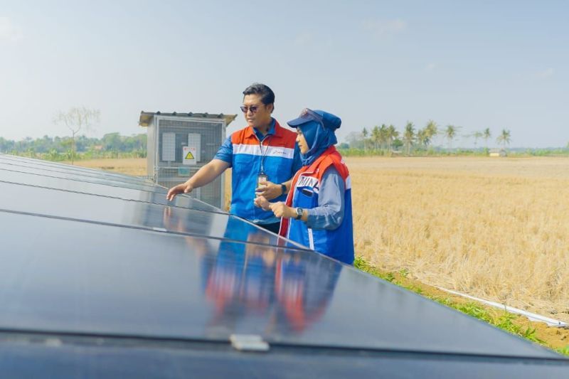 Kilang Pertamina majukan pertanian berbasis EBT di Cilacap