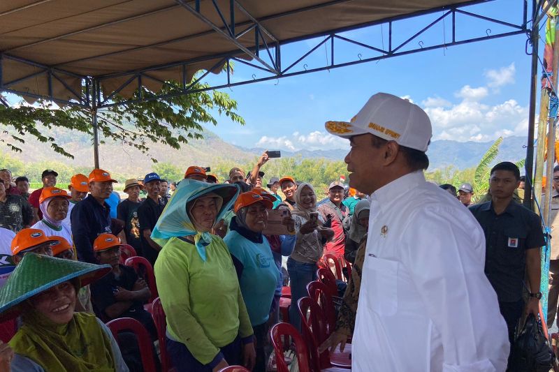 Menteri PMK sebut nasi jagung bisa jadi opsi menu makan siang gratis