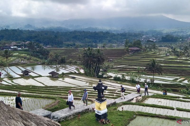 DTW Jatiluwih Bali tambah kantong parkir hadapi lonjakan pengunjung 