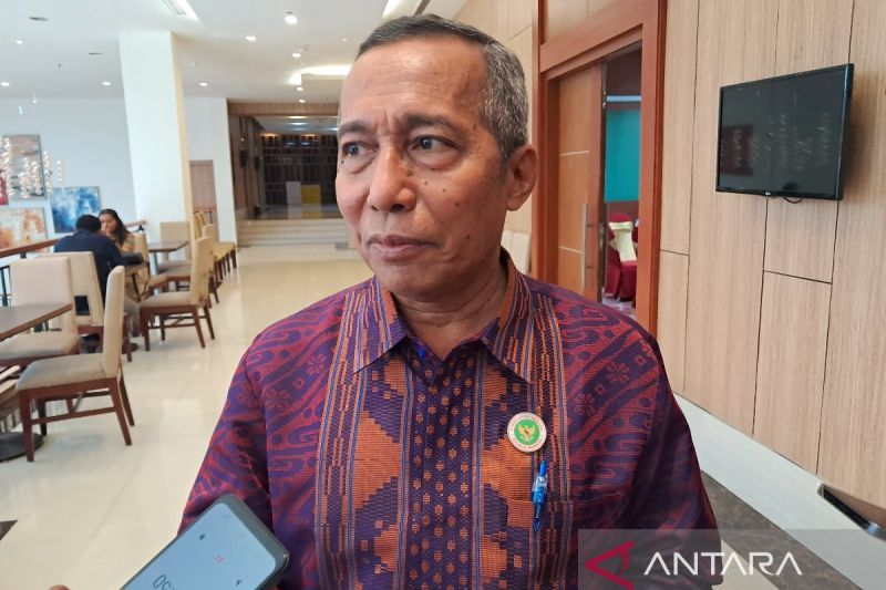 DEN sarankan empat DOB di Tanah Papua terbitkan Pergub RUED