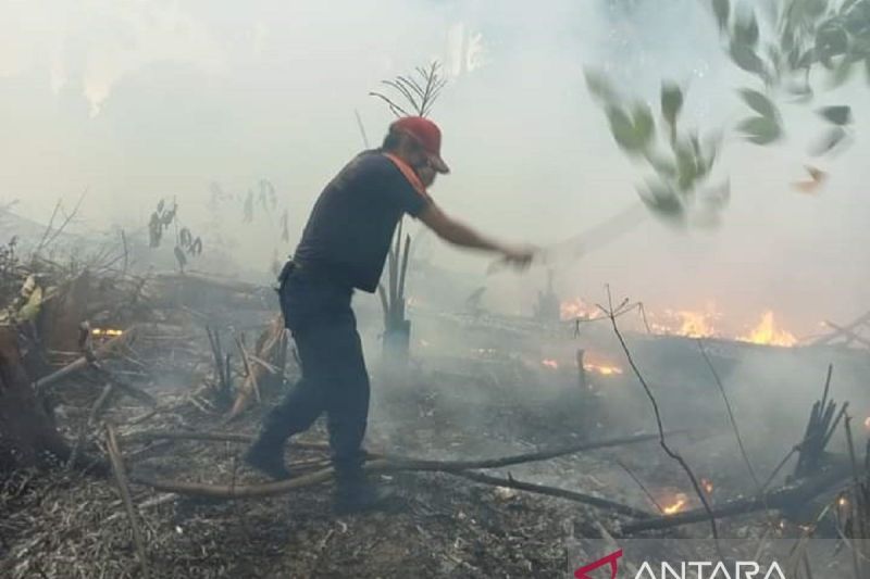 BPBD Babel tangani 55 karhutla, sebanyak 66,81 hektare lahan terbakar