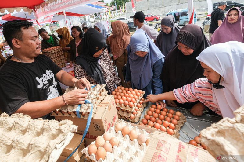 Harga telur di berbagai daerah pertengahan bulan ini