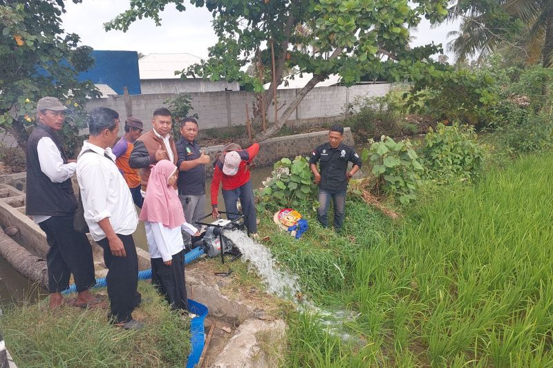 BPTPH Jabar: Tanaman padi di Garut terdampak kemarau berhasil dipanen