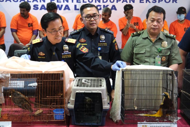 Bea Cukai Soekarno Hatta Gagalkan Dua Upaya Penyelundupan Puluhan Satwa Langka Tujuan India