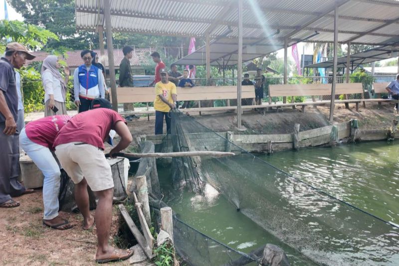 Pertamina bantu peningkatan ekonomi kelompok lansia di Jambi