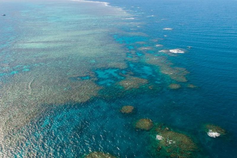 Suhu laut tertinggi dalam 400 tahun terakhir ancam Great Barrier Reef