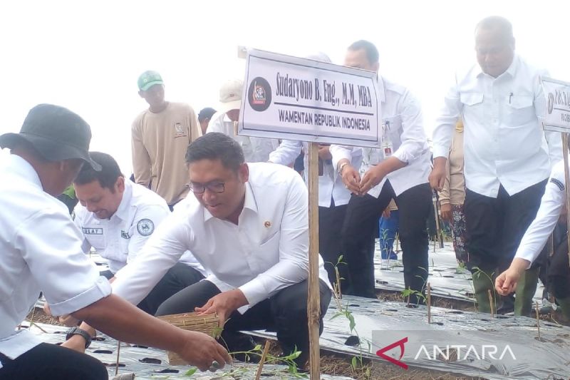 Wamentan: Desa di Deli Serdang jadi contoh pertanian di Sumut