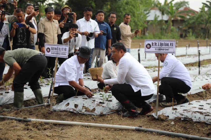 Wamentan minta lahan tidur dioptimalkan untuk produktivitas pertanian