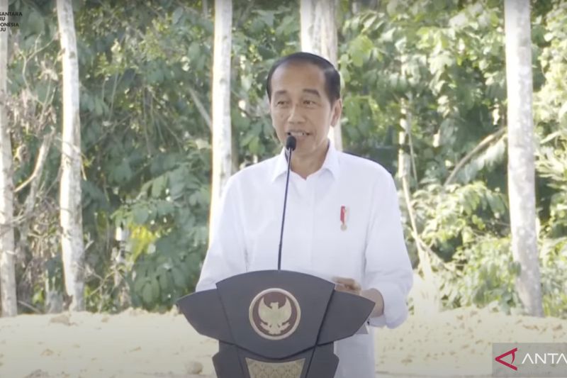 Presiden akui potong jumlah undangan HUT RI di IKN karena kurang hotel