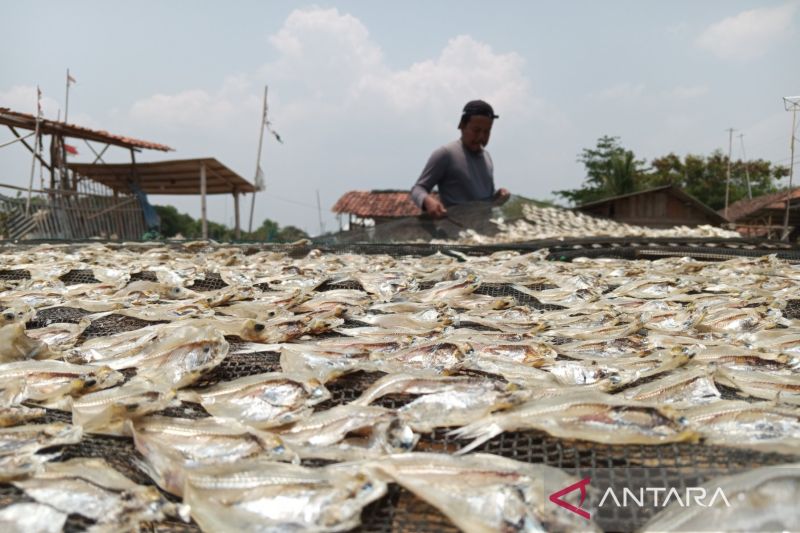 Mengubah rupa ekonomi pesisir Cirebon