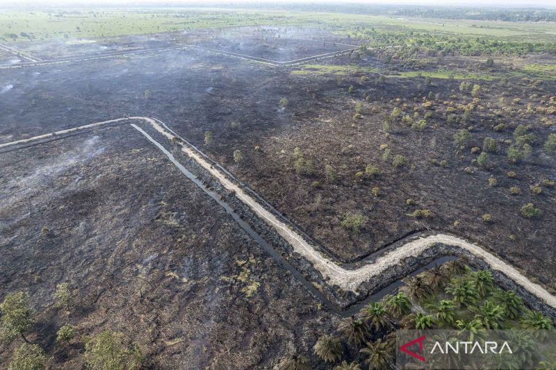 Sedikitnya 30 hektare lahan terbakar di Tanjung Jabung Barat