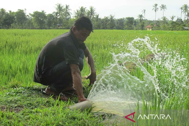 Kementan bantu 1.051 pompa air untuk petani Aceh