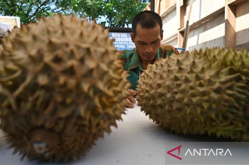 Ekspose produk pertanian dan pasar tani di Palu