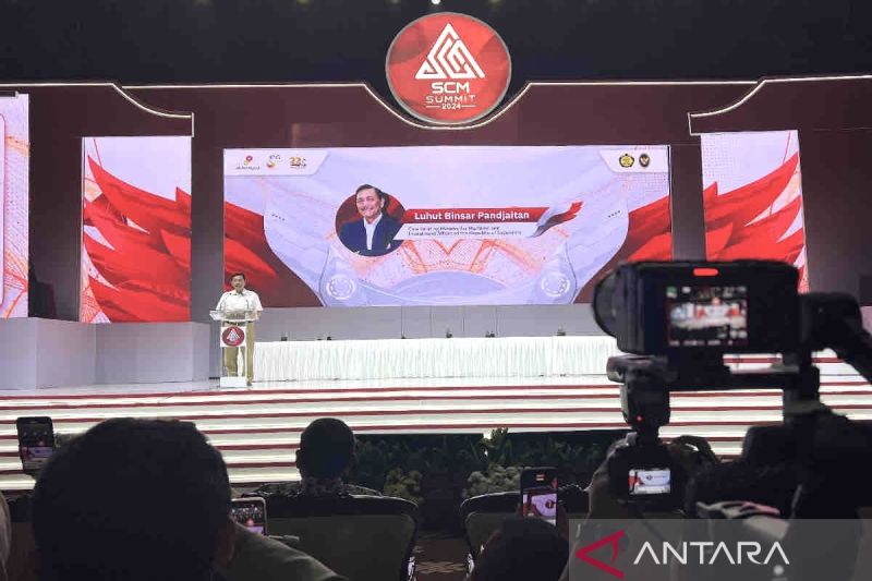 Luhut ungkap strategi pemerintah capai Indonesia Emas bidang energi