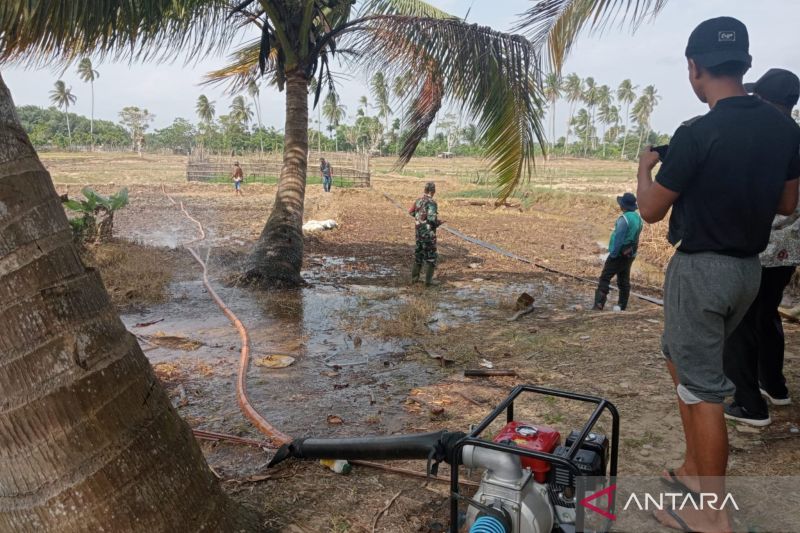 Melindungi sawah tadah hujan di Mukomuko tak beralih fungsi  