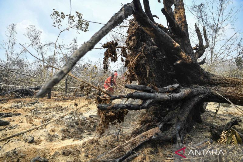 BPPIKHL Wilayah Sumatera terus berpaya memadamkan kebakaran lahan gambut di Sumatera Selatan