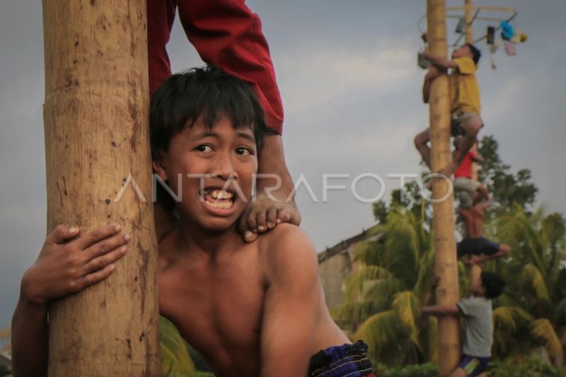 Lomba panjat pinang semarak HUT RI di Lombok Tengah