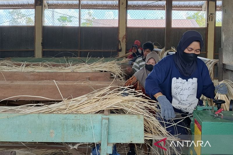 Kementerian Investasi catat terbitkan 10 juta izin usaha lewat OSS