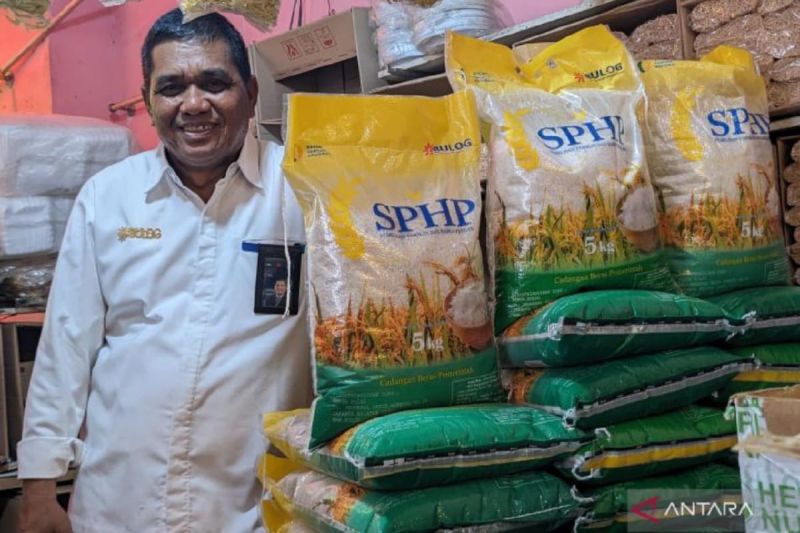 Bulog Sumut siap menyerap hasil lahan program pompanisasi