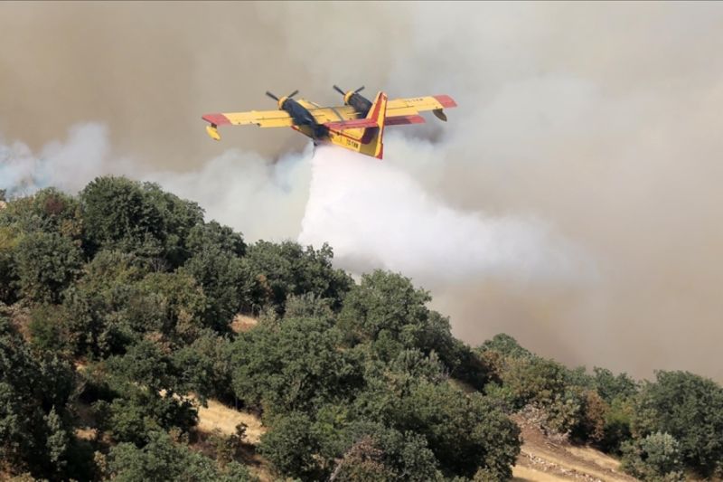 Jutaan hektare hutan terbakar di seluruh dunia, ribuan orang mengungsi