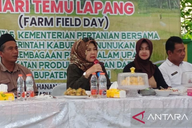 Kementan RI apresiasi petani di perbatasan meningkatkan produksi gabah