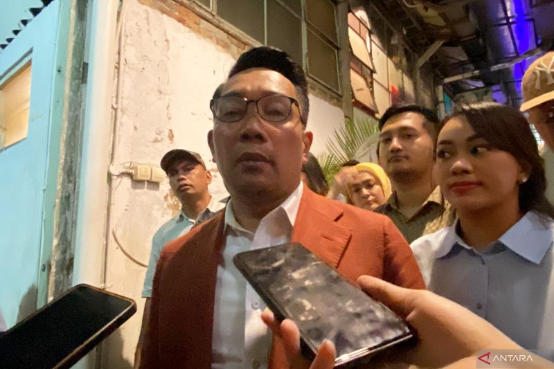 Ridwan Kamil miliki gagasan satu kecamatan satu arsitek