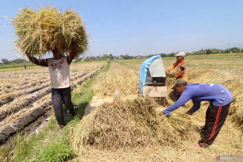 Inovasi koperasi dalam mendukung ketahanan pangan