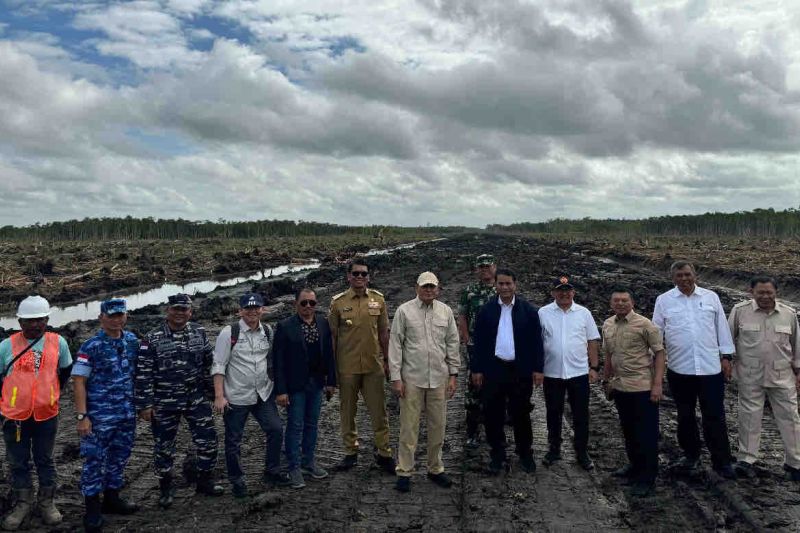 Mentan sebut pertanian Merauke langkah menuju lumbung pangan dunia