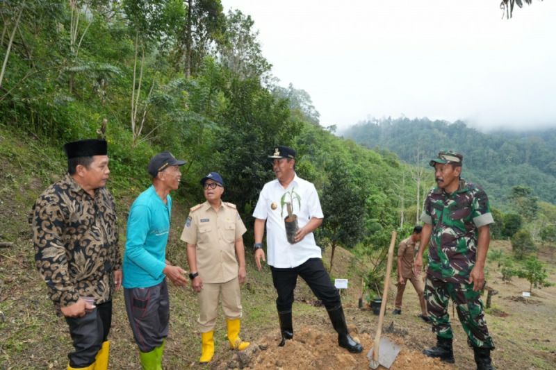 Pemprov Sulbar alokasikan anggaran pengadaan satu juta bibit durian 