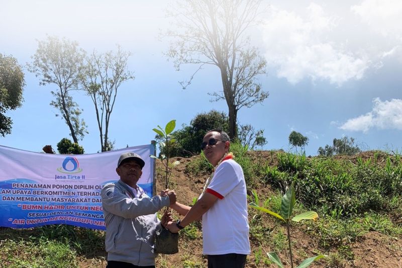 Penghijauan Lahan Kritis di Hulu Citarum: Perum Jasa Tirta II Bersama Dinas Lingkungan Hidup dan Paguron Gajah Putih Kahuripan Lakukan Penanaman 25.000 Pohon