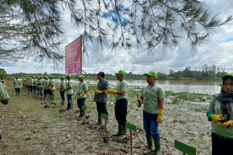 Rehabilitasi mangrove, andalan program konservasi Astra Agro di Aceh